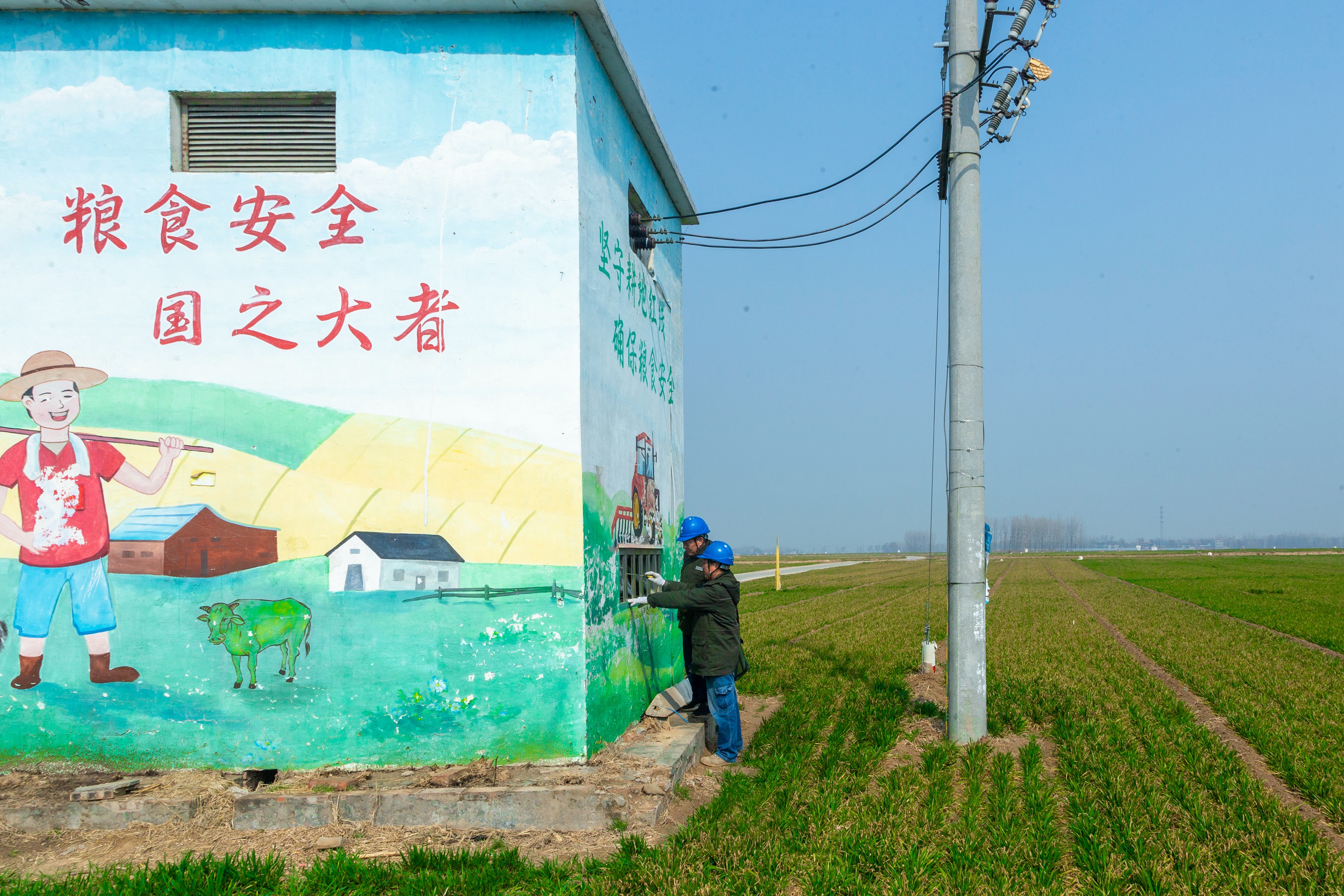 图为，2025年3月7日8时，在河南安阳滑县老店镇曹固营村的麦田里，国网滑县供电公司两名员工正在巡查电力线路和设备，为群众春耕春灌农业生产用电保驾护航。（王亚方 摄）