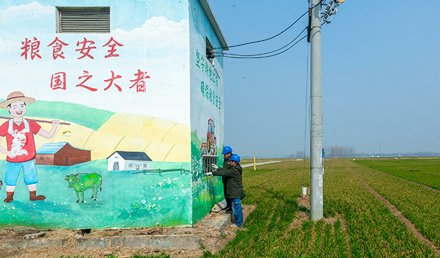 图为，2025年3月7日8时，在河南安阳滑县老店镇曹固营村的麦田里，国网滑县供电公司两名员工正在巡查电力线路和设备，为群众春耕春灌农业生产用电保驾护航。（王亚方 摄）
