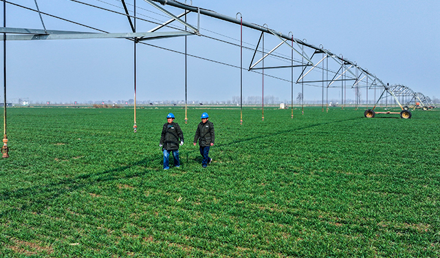 图为，2025年3月7日8时，在河南安阳滑县老店镇曹固营村的麦田里，国网滑县供电公司两名员工正在巡查电力线路和设备，为群众春耕春灌农业生产用电保驾护航。（王亚方 摄）