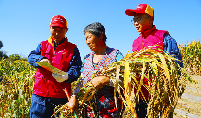 蒙东赤峰敖汉旗供电新惠镇中心供电所：秋收安全用电宣传到田间